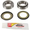 Pivot Works Steering Stem Bearing Kit