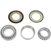 Pivot Works Steering Stem Bearing Kit
