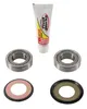 Pivot Works Steering Stem Bearing Kit