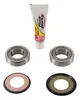 Pivot Works Steering Stem Bearing Kit