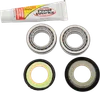 Pivot Works Steering Stem Bearing Kit