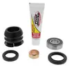 Pivot Works Steering Stem Bearing Kit