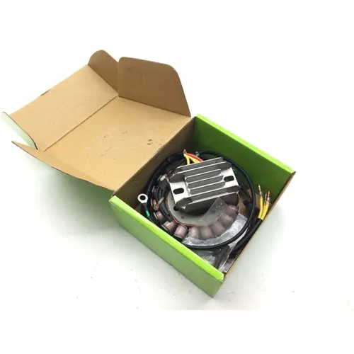 Ricks Hot Shot Charging Kit w Stator Regulator 99-200H 2