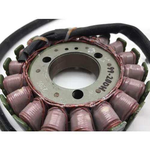 Ricks Hot Shot Charging Kit w Stator Regulator 99-200H 4