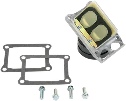 Boyesen Aluminum Carbon Rad Valve System