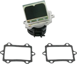 Boyesen Aluminum Carbon Rad Valve System