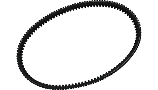 Dayco RPX Race Performance Drive Belt