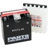 Parts Unlimited AGM Maintenance Free Battery YTX16-BS