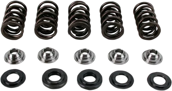 Hot Cams Steel Valve Spring Kit
