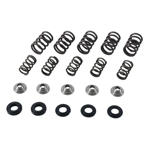 Hot Cams Steel Valve Spring Kit