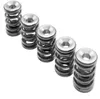 Hot Cams Steel Valve Spring Kit