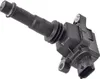 SP1 External Ignition Coil Plug Type