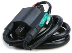 SP1 External Ignition Coil