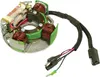 SP1 Alternator Stator Generator Assembly