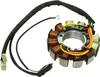 SP1 Alternator Stator Generator Assembly