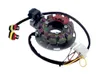 SP1 Alternator Stator Generator Assembly