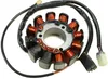 SP1 Alternator Stator Generator Assembly