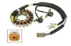 SP1 Alternator Stator Generator Assembly