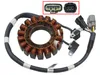 SP1 Alternator Stator Generator Assembly