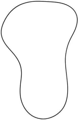 SP1 Chaincase Gasket Seal