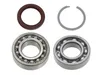 SP1 Upper Jack Shaft Bearing and Seal Kit