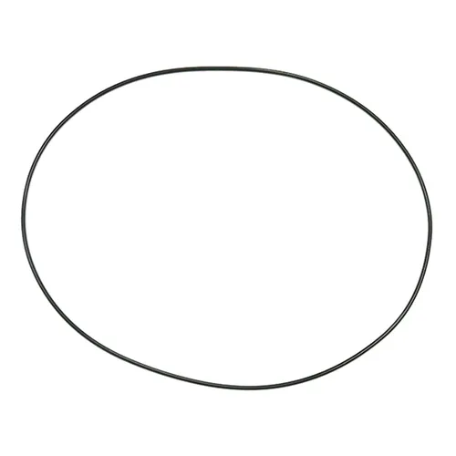 SP1 Chaincase Gasket Seal