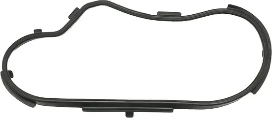 SP1 Chaincase Gasket Seal