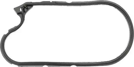 SP1 Chaincase Gasket Seal