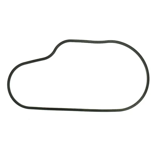 SP1 Chaincase Gasket Seal