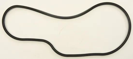 SP1 Chaincase Gasket Seal