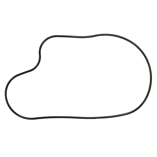 SP1 Chaincase Gasket Seal