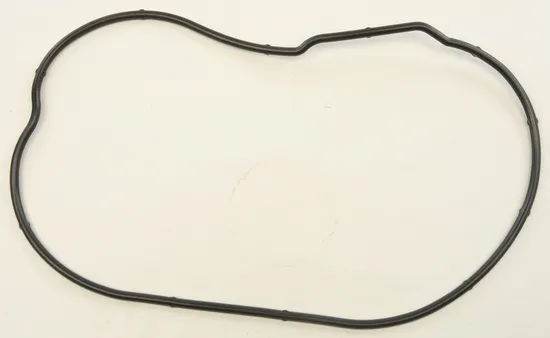 SP1 Chaincase Gasket Seal