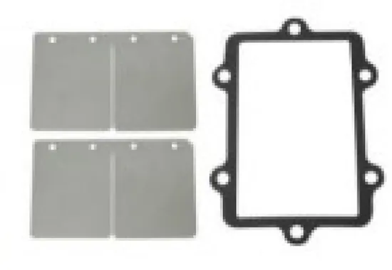 SP1 Reed Valve Repair Rebuild Kits