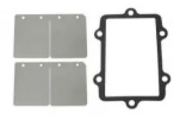 SP1 Reed Valve Repair Rebuild Kits