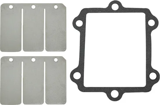 SP1 Reed Valve Repair Rebuild Kits