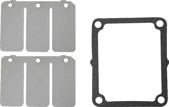 SP1 Reed Valve Repair Rebuild Kits