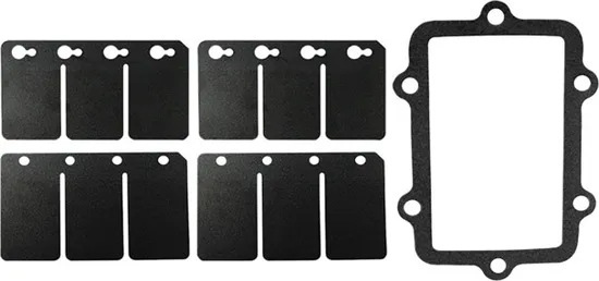 SP1 Reed Valve Repair Rebuild Kits