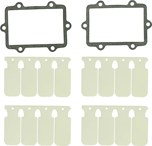 SP1 Reed Valve Repair Rebuild Kits