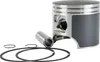 SP1 T Moly Piston Kit 81mm