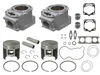 SP1 Top End Engine Rebuild Cylinder Kit