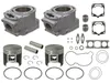 SP1 Top End Engine Rebuild Cylinder Kit