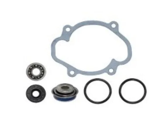 SPI Water Pump Rebuild Repair Kit