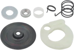 SP1 Recoil Starter Pawl Kit