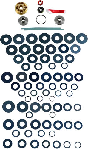 Race Tech Gold Valve Shock Kit