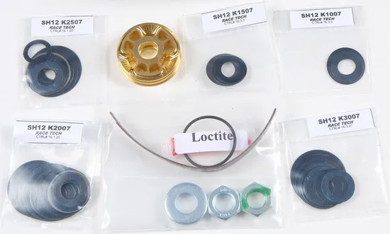 Race Tech Gold Valve Shock Kit