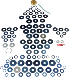 Race Tech Gold Valve Shock Kit