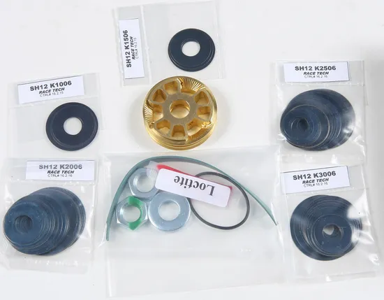 Race Tech Gold Valve Shock Kit