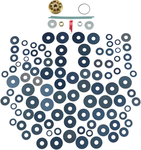 Race Tech Gold Valve Shock Kit