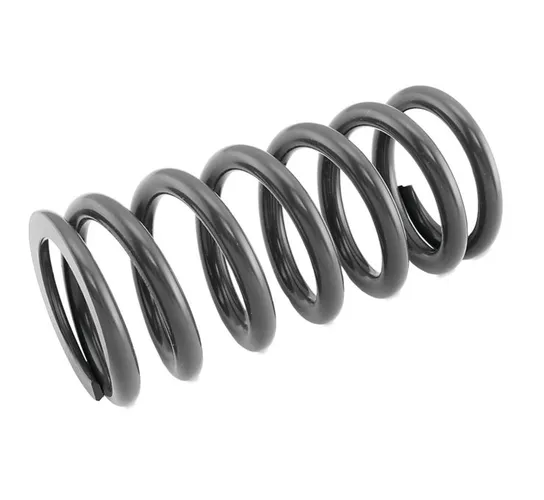 Race Tech Shock Spring 4.0kg 3