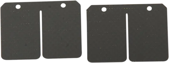 Boyesen Single Stage Carbon Super Stock Reed Petals